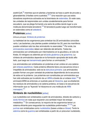 acetil-CoA,98 mientras que en plantas y bacterias se hace a partir de piruvato y
gliceraldehído 3-fosfato como sustratos.99 97 Una reacción que usa estos
donadores isoprénicos activados es la biosíntesis de esteroides. En este caso,
las unidades de isoprenoides son unidas covalentemente para formar
escualeno, que se pliega formando una serie de anillos dando lugar a una
molécula denominada lanosterol.100 El lanosterol puede luego ser transformado
en esteroides como el colesterol.

Proteínas [editar]
Artículo principal: Síntesis de proteínas

La habilidad de los organismos para sintetizar los 20 aminoácidos conocidos
varía. Las bacterias y las plantas pueden sintetizar los 20, pero los mamíferos
pueden sintetizar solo los diez aminoácido no esenciales.33 Por ende, los
aminoácidos esenciales deben ser obtenido del alimento. Todos los
aminoácidos son sintetizados por intermediarios en la glucólisis y el ciclo de
Krebs. El nitrógeno es obtenido por el ácido glutámico y la glutamina. La
síntesis de aminoácidos depende en la formación apropiada del ácido alfaketo, que luego es transaminado para formar un aminoácido.101
Los aminoácidos son sintetizados en proteínas al ser unidos en una cadena
por enlaces peptídicos. Cada proteína diferente tiene una secuencia única e
irrepetible de aminoácidos: esto es la estructura primaria. Los aminoácidos
pueden formar una gran variedad de proteínas dependiendo de la secuencia
de estos en la proteína. Las proteínas son constituidas por aminoácidos que
han sido activados por la adición de un ARNt a través de un enlace éster.102 El
aminoacil-ARNt es entonces un sustrato para el ribosoma, que va añadiendo
los residuos de aminoácidos a la cadena proteica, en base a la secuencia de
información que va "leyendo" el ribosoma en una molécula de ARN
mensajero.103

Síntesis de nucleótidos [editar]
Los nucleótidos son sintetizados a partir de aminoácidos, dióxido de carbono y
ácido fórmico en rutas que requieren una cantidad mayor de energía
metabólica.104 En consecuencia, la mayoría de los organismos tienen un
sistema eficiente para resguardar los nucleótidos preformados.104 105 Las
purinas son sintetizadas como nucleósidos (bases unidas a ribosa). Tanto la
adenina como la guanina son sintetizadas a partir de un precursor nucleósido,

 