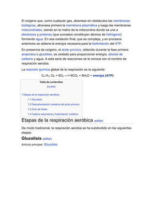 El oxígeno que, como cualquier gas, atraviesa sin obstáculos las membranas
biológicas, atraviesa primero la membrana plasmática y luego las membranas
mitocondriales, siendo en la matriz de la mitocondria donde se une a
electrones y protones (que sumados constituyen átomos de hidrógeno)
formando agua. En esa oxidación final, que es compleja, y en procesos
anteriores se obtiene la energía necesaria para la fosforilación del ATP.
En presencia de oxígeno, el ácido pirúvico, obtenido durante la fase primera
anaerobia o glucólisis, es oxidado para proporcionar energía, dióxido de
carbono y agua. A esta serie de reacciones se le conoce con el nombre de
respiración aerobia.
La reacción química global de la respiración es la siguiente:
C6 H12 O6 + 6O2 ---> 6CO2 + 6H2O + energía (ATP)
Tabla de contenidos
[ocultar]

1 Etapas de la respiración aeróbica
1.1 Glucolisis
1.2 Descarboxilación oxidativa del ácido pirúvico
1.3 Ciclo de Krebs
1.4 Cadena respiratoria y fosforilación oxidativa

Etapas de la respiración aeróbica [editar]
De modo tradicional, la respiración aerobia se ha subdividido en las siguientes
etapas:

Glucolisis [editar]
Artículo principal: Glucolisis

 
