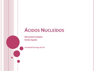 Ácidos Nucleídos Alexandra Castaño Sindy Zapata Univesidad Santiago de Cali 