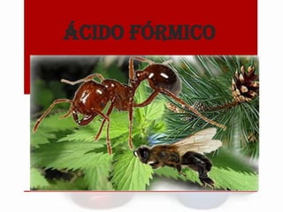 ÁCIDO FÓRMICO

 