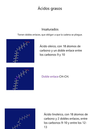 Ácidos grasos
Insaturados
Tienen dobles enlaces, que obligan a que la cadena se pliegue.
Ácido oleico, con 18 átomos de
carbono y un doble enlace entre
los carbonos 9 y 10
Doble enlace CH-CH.
Ácido linoleico, con 18 átomos de
carbono y 2 dobles enlaces, entre
los carbonos 9-10 y entre los 12-
13