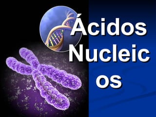 Ácidos Nucleicos 