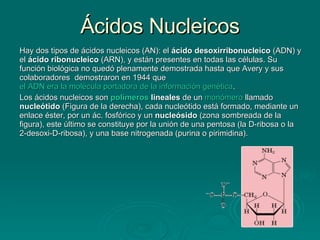 Ácidos Nucleicos Hay dos tipos de ácidos nucleicos (AN): el  ácido desoxirribonucleico  (ADN) y el  ácido ribonucleico  (ARN), y están presentes en todas las células. Su función biológica no quedó plenamente demostrada hasta que Avery y sus colaboradores  demostraron en 1944 que  el ADN era la molécula portadora de la información genética . Los ácidos nucleicos son  polímeros  lineales  de un  monómero  llamado  nucleótido  (Figura de la derecha), cada nucleótido está formado, mediante un enlace éster, por un ác. fosfórico y un  nucleósido  (zona sombreada de la figura), este último se constituye por la unión de una pentosa (la D-ribosa o la 2-desoxi-D-ribosa), y una base nitrogenada (purina o pirimidina).  