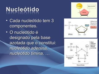 Cada nucleótido tem 3 componentes. O nucleótido é designado pela base azotada que o constitui:  nucleótido adenina, nucleótido timina, …   