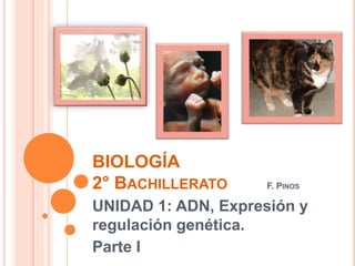 BIOLOGÍA
2° BACHILLERATO F. PINOS
UNIDAD 1: ADN, Expresión y
regulación genética.
Parte I
 