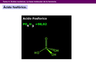 Tema 4:  Ácidos nucleicos. La base molecular de la herencia. Ácido fosfórico. 