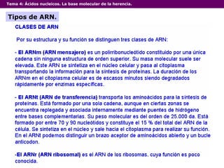 Tema 4:  Ácidos nucleicos. La base molecular de la herencia. Tipos de ARN. 