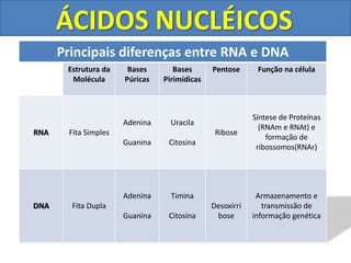 Ácidos-Nucleicos-Duplicação-do-DNA-e-Síntese-Protéica.pdf