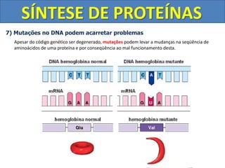 Ácidos-Nucleicos-Duplicação-do-DNA-e-Síntese-Protéica.pdf