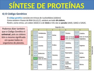 Ácidos-Nucleicos-Duplicação-do-DNA-e-Síntese-Protéica.pptx