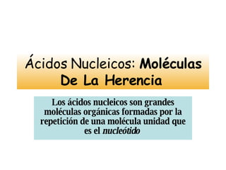 Ácidos Nucleicos:  Moléculas De La Herencia   Los ácidos nucleicos son grandes moléculas orgánicas formadas por la repetición de una molécula unidad que es el  nucleótido   