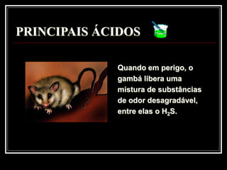 PRINCIPAIS ÁCIDOS

             Quando em perigo, o
             gambá libera uma
             mistura de substâncias
             de odor desagradável,
             entre elas o H2S.
 