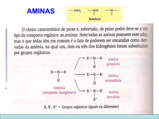 AMINAS 