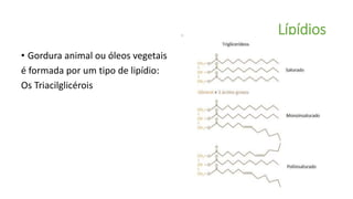 Lípídios
• Gordura animal ou óleos vegetais
é formada por um tipo de lipídio:
Os Triacilglicérois
 