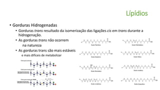 Lípídios
• Gorduras Hidrogenadas
• Gorduras trans resultado da isomerização das ligações cis em trans durante a
hidrogenação.
• As gorduras trans não ocorrem
na natureza
• As gorduras trans são mais estáveis
e mais difíceis de metabolizar
 