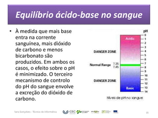 Equilíbrio ácido-base no sangue
• À medida que mais base
  entra na corrente
  sanguínea, mais dióxido
  de carbono e menos
  bicarbonato são
  produzidos. Em ambos os
  casos, o efeito sobre o pH
  é minimizado. O terceiro
  mecanismo de controlo
  do pH do sangue envolve
  a excreção do dióxido de
  carbono.

  Sara Gonçalves - Técnico de Informática   16
 