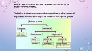 IMPORTANCIA DE LOS ACIDOS GRASOS ESCENCIALES EN
NUESTRO ORGANISMO.
Todos los ácidos grasos esenciales son polinsaturados, porque el
organismo humano no es capaz de sintetizar este tipo de grasas.
 