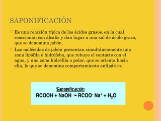 SAPONIFICACIÓN
   Es una reacción típica de los ácidos grasos, en la cual
    reaccionan con álcalis y dan lugar a una sal de ácido graso,
    que se denomina jabón.
   Las moléculas de jabón presentan simultáneamente una
    zona lipófila o hidrófoba, que rehuye el contacto con el
    agua, y una zona hidrófila o polar, que se orienta hacia
    ella, lo que se denomina comportamiento anfipático. 
 