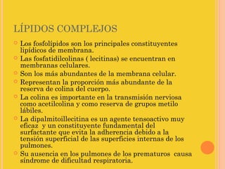 LÍPIDOS COMPLEJOS
   Los fosfolípidos son los principales constituyentes
    lipídicos de membrana.
   Las fosfatidilcolinas ( lecitinas) se encuentran en
    membranas celulares.
   Son los más abundantes de la membrana celular.
   Representan la proporción más abundante de la
    reserva de colina del cuerpo.
   La colina es importante en la transmisión nerviosa
    como acetilcolina y como reserva de grupos metilo
    lábiles.
   La dipalmitoillecitina es un agente tensoactivo muy
    eficaz y un constituyente fundamental del
    surfactante que evita la adherencia debido a la
    tensión superficial de las superficies internas de los
    pulmones.
   Su ausencia en los pulmones de los prematuros causa
    síndrome de dificultad respiratoria.
 