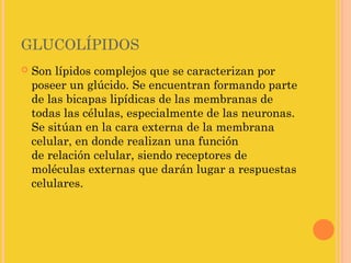 GLUCOLÍPIDOS
   Son lípidos complejos que se caracterizan por
    poseer un glúcido. Se encuentran formando parte
    de las bicapas lipídicas de las membranas de
    todas las células, especialmente de las neuronas.
    Se sitúan en la cara externa de la membrana
    celular, en donde realizan una función
    de relación celular, siendo receptores de
    moléculas externas que darán lugar a respuestas
    celulares.
 