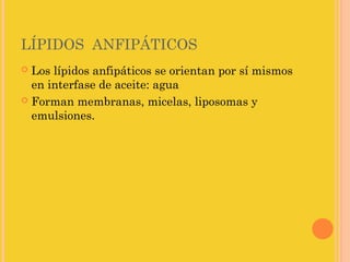 LÍPIDOS ANFIPÁTICOS
 Los lípidos anfipáticos se orientan por sí mismos
  en interfase de aceite: agua
 Forman membranas, micelas, liposomas y
  emulsiones.
 