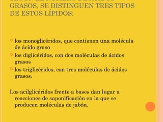 SEGÚN EL NÚMERO DE ÁCIDOS
GRASOS, SE DISTINGUEN TRES TIPOS
DE ESTOS LÍPIDOS:



 los monoglicéridos, que contienen una molécula
  de ácido graso
 los diglicéridos, con dos moléculas de ácidos
  grasos
 los triglicéridos, con tres moléculas de ácidos
  grasos.

Los acilglicéridos frente a bases dan lugar a
 reacciones de saponificación en la que se
 producen moléculas de jabón.
 