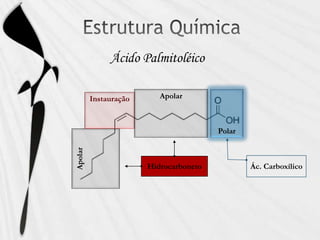 Polar
Apolar
Apolar
Ác. CarboxílicoHidrocarboneto
Instauração
Ácido Palmitoléico
 