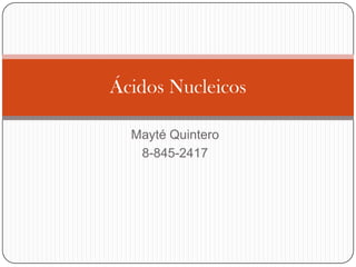 Mayté Quintero 8-845-2417 Ácidos Nucleicos 