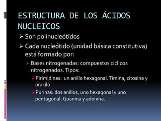 ESTRUCTURA DE LOS ÁCIDOS NUCLEICOSSon polinucleótidos
