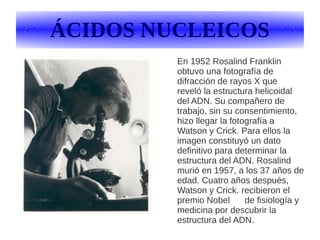 ÁCIDOS NUCLEICOS
En 1952 Rosalind Franklin
obtuvo una fotografía de
difracción de rayos X que
reveló la estructura helicoidal
del ADN. Su compañero de
trabajo, sin su consentimiento,
hizo llegar la fotografía a
Watson y Crick. Para ellos la
imagen constituyó un dato
definitivo para determinar la
estructura del ADN. Rosalind
murió en 1957, a los 37 años de
edad. Cuatro años después,
Watson y Crick. recibieron el
premio Nobel de fisiología y
medicina por descubrir la
estructura del ADN.
 