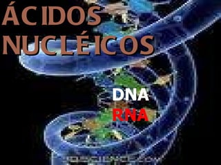 ÁCIDOS NUCLÉICOS DNA RNA 
