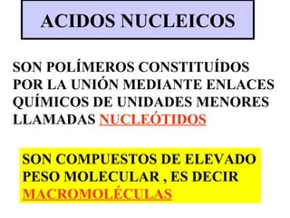 ACIDOS NUCLEICOS SON POLÍMEROS CONSTITUÍDOS POR LA UNIÓN MEDIANTE ENLACES QUÍMICOS DE UNIDADES MENORES LLAMADAS  NUCLEÓTIDOS SON COMPUESTOS DE ELEVADO PESO MOLECULAR , ES DECIR  MACROMOLÉCULAS 