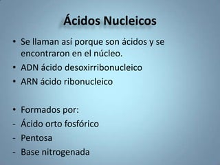 Ácidos Nucleicos Se llaman así porque son ácidos y se encontraron en el núcleo. ADN ácido desoxirribonucleico ARN ácido ribonucleico Formados por: ,[object Object]