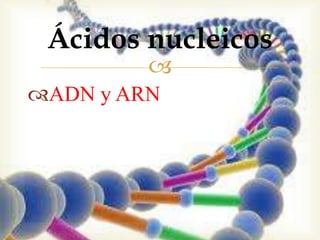 Ácidos nucleicos
         
ADN y ARN
 