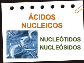 ÁCIDOS
NUCLEICOS
   NUCLEÓTIDOS
   NUCLEÓSIDOS
 