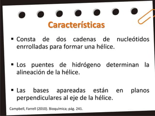 Características
 Consta de dos cadenas de nucleótidos
  enrrolladas para formar una hélice.

 Los puentes de hidrógeno determinan la
  alineación de la hélice.

 Las bases apareadas están en                    planos
  perpendiculares al eje de la hélice.
Campbell, Farrell (2010). Bioquímica; pág. 241.
 