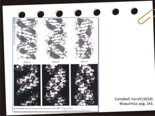 Campbell, Farrell (2010).
  Bioquímica; pág. 243.
 