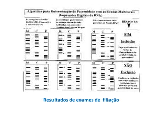 Resultados de exames de filiação
 