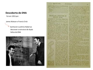 Descoberta do DNA
Foi em 1953 por:

James Watson e Francis Crick

     Ganharam o prêmio Nobel ao
     descrever a estrutura de dupla
     hélice do DNA
 