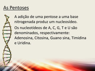 As Pentoses
A adição de uma pentose a uma base
nitrogenada produz um nucleosídeo.
Os nucleotídeos de A, C, G, T e U são
denominados, respectivamente:
Adenosina, Citosina, Guano sina, Timidina
e Uridina.
 