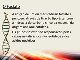 O Fosfato
A adição de um ou mais radicais fosfato à
pentose, através de ligação tipo éster com
a hidroxila do carbono cinco da mesma, dá
origem aos Nucleotídeos.
Os grupos fosfato são responsáveis pelas
cargas negativas dos nucleotídeos e dos
ácidos nucléicos.
 