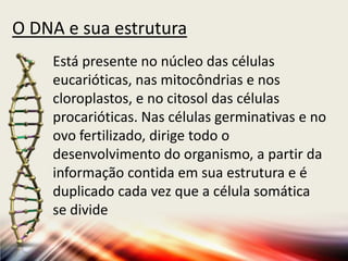 O DNA e sua estrutura
Está presente no núcleo das células
eucarióticas, nas mitocôndrias e nos
cloroplastos, e no citosol das células
procarióticas. Nas células germinativas e no
ovo fertilizado, dirige todo o
desenvolvimento do organismo, a partir da
informação contida em sua estrutura e é
duplicado cada vez que a célula somática
se divide
 