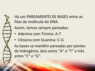 Há um PAREAMENTO DE BASES entre as
fitas da molécula do DNA.
Assim, temos sempre pareadas:
• Adenina com Timina: A-T
• Citosina com Guanina: C-G
As bases se mantêm pareadas por pontes
de hidrogênio, dois entre "A" e "T" e três
entre "C" e "G".
 