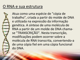O RNA e sua estrutura
Atua como uma espécie de "cópia de
trabalho", criada a partir do molde de DNA
e utilizada na expressão da informação
genética. A síntese de uma molécula de
RNA a partir de um molde de DNA chama-
se "TRANSCRIÇÃO". Nesta transcrição,
modificações podem ocorrer sobre a
molécula de RNA transcrita, convertendo-a
de uma cópia fiel em uma cópia funcional
do DNA.
 
