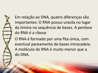Em relação ao DNA, quatro diferenças são
importantes: O RNA possui uracila no lugar
da timina na sequência de bases. A pentose
do RNA é a ribose
O RNA é formado por uma fita única, com
eventual pareamento de bases intracadeia.
A molécula do RNA é muito menor que a
do DNA.
 