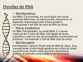 Divisões do RNA
• RNA Ribossômico
Ou RNAr; É encontrado, em associação com várias
proteínas diferentes, na estrutura dos ribossomos, as
organelas responsáveis pela síntese proteica.
Corresponde a até 80% do total de RNA da célula
• RNA de Transferência
Ou RNA Transportador, ou ainda RNAt. É a menor
molécula dos 3 tipos de RNA; Está ligado de forma
específica a cada um dos 20 aminoácidos encontrados nas
proteínas. Corresponde a 15% do RNA total da célula
• RNA Mensageiro
Corresponde a apenas 5% do total de RNA da célula. Atua
transportando a informação genética do núcleo da célula
eucariótica ao citosol, onde ocorrerá a biossíntese
proteica. É utilizado como molde nesta biossíntese.
 