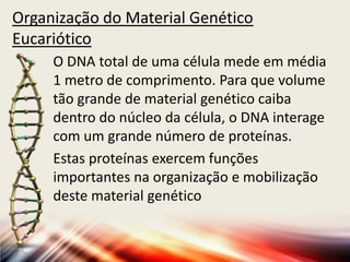 Organização do Material Genético
Eucariótico
O DNA total de uma célula mede em média
1 metro de comprimento. Para que volume
tão grande de material genético caiba
dentro do núcleo da célula, o DNA interage
com um grande número de proteínas.
Estas proteínas exercem funções
importantes na organização e mobilização
deste material genético
 