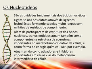 Os Nucleotídeos
São as unidades fundamentais dos ácidos nucléicos
Ligam-se uns aos outros através de ligações
fosfodiéster, formando cadeias muito longas com
milhões de resíduos de comprimento.
Além de participarem da estrutura dos ácidos
nucléicos, os nucleotídeos atuam também como
componentes na estrutura de coenzimas
importantes no metabolismo oxidativo da célula, e
como forma de energia química - ATP, por exemplo.
Atuam ainda como ativadores e inibidores
importantes em várias vias do metabolismo
intermediário da célula.
 