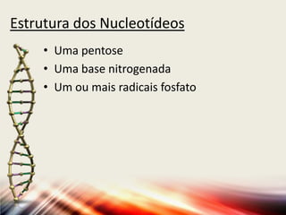 Estrutura dos Nucleotídeos
• Uma pentose
• Uma base nitrogenada
• Um ou mais radicais fosfato
 