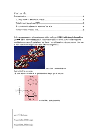 Contenido
Ácidos nucleicos............................................................................................................................ 1
El ADN y el ARN se diferencian porque:.................................................................................... 3
Ácido Desoxirribonucleico (ADN).............................................................................................. 3
Ácido Ribonucleico (ARN): El “ayudante” del ADN................................................................... 4
Transcripción o síntesis a ARN .................................................................................................. 5
En la naturaleza existen solo dos tipos de ácidos nucleicos: El ADN (ácido desoxirribonucleico)
y el ARN (ácido ribonucleico) y están presentes en todas las células.Su función biológica no
quedó plenamente confirmada hasta que Avery y sus colaboradores demostraron en 1944 que
el ADN era la molécula portadora de la información genética.
Ilustración 1 modelo de adn
Ilustración 3 las pentosas
- el peso molecular del ADN es generalmente mayor que el del ARN
Ilustración 3 los nucleosidos
Ver: PSU Biología:
Pregunta01_2005Biología
Pregunta02_2005Biología
 